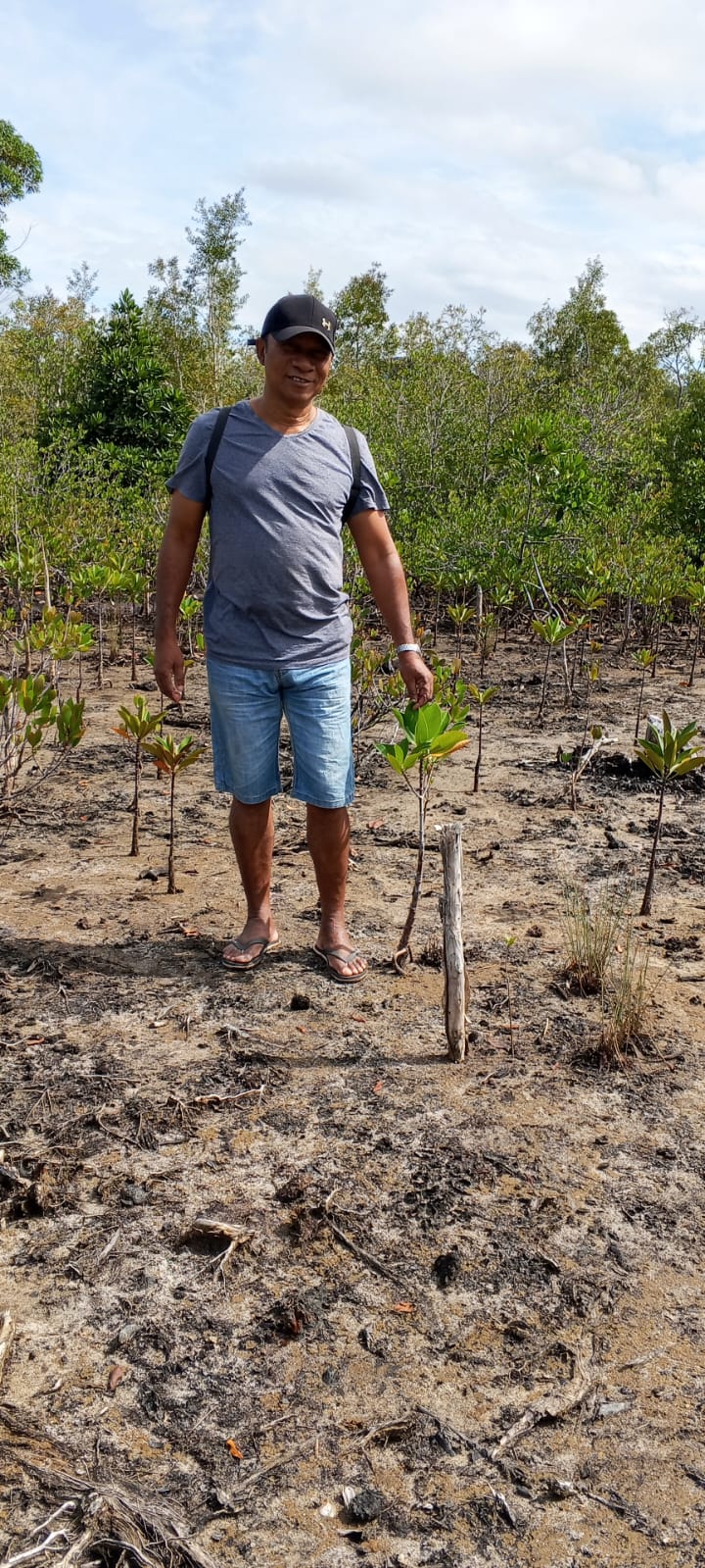 Mangrove de Manompana